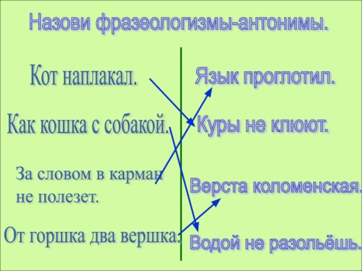 Назови фразеологизмы-антонимы.Кот наплакал.Как кошка с собакой.За словом в карман  не полезет.От