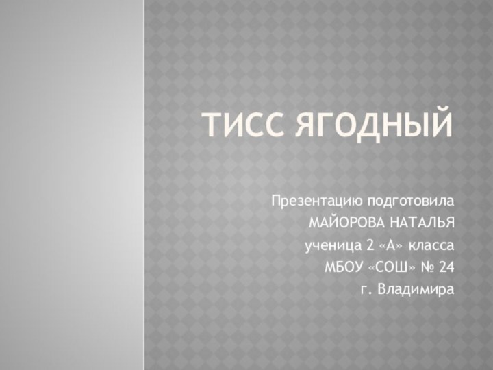 Тисс ягодный  Презентацию подготовилаМАЙОРОВА НАТАЛЬЯученица 2 «А» классаМБОУ «СОШ» № 24г. Владимира