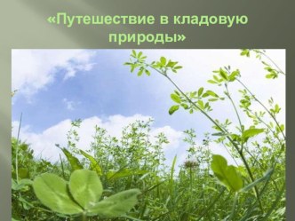 Презентация Путешествие в кладовую природы презентация к уроку (старшая группа)