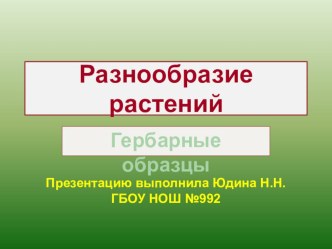 Разнообразие растений презентация к уроку по окружающему миру (3 класс) по теме