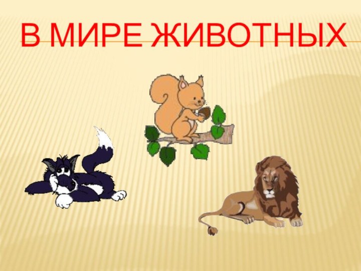 В мире животных