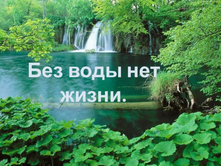 Без воды нет жизни.