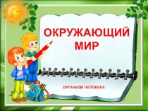 Конспект и презентация к уроку окружающего мира по теме Организм человека. 3-й класс план-конспект урока по окружающему миру (3 класс)