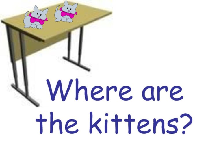 Where are the kittens?