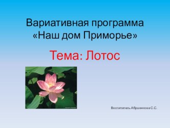 Презентация к занятию по вариативной программе Наш дом Приморье Лотос - символ - Кировского района презентация к занятию (старшая группа)