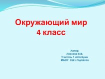 Конспект открытого урока по окружающему миру по теме Моря,озера и реки России и презентация. план-конспект урока по окружающему миру (4 класс)