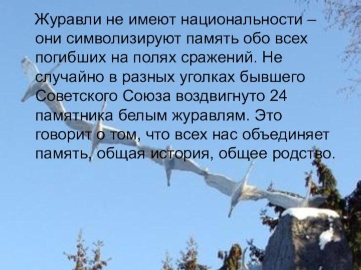 праздник Белых журавлей  Журавли не имеют национальности – они символизируют память