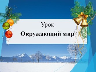 Конспект урока по окружающему миру Зимние месяцы 2 класс , УМК Перспектива план-конспект урока по окружающему миру (2 класс)