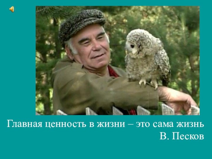 Главная ценность в жизни – это сама жизнь В. Песков