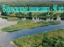 Воронежскому заповеднику - 90 лет. презентация к уроку