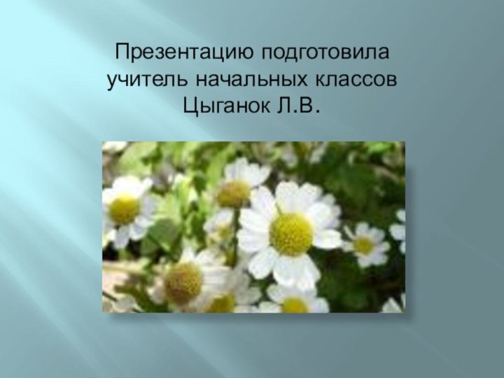 Презентацию подготовила учитель начальных классов Цыганок Л.В.