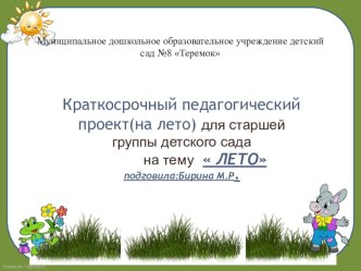 Лето презентация к уроку (старшая группа)