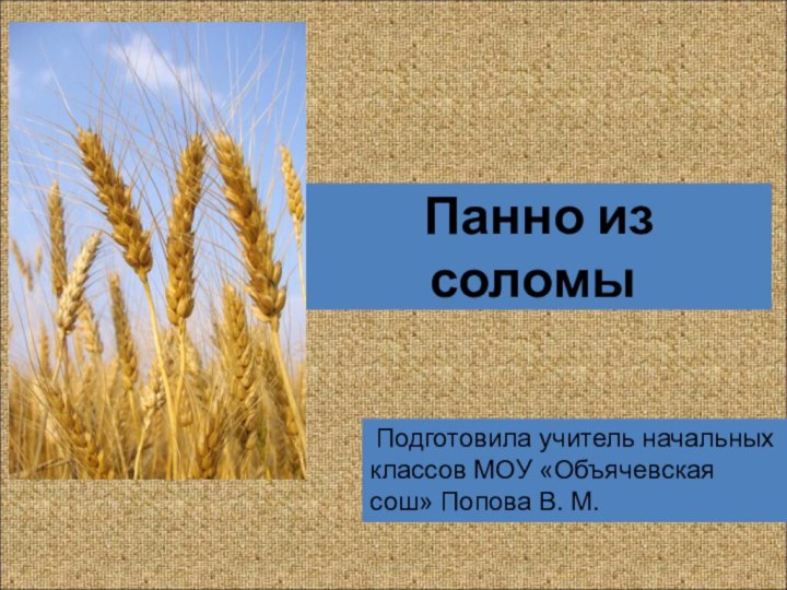 Панно из соломы Подготовила учитель начальных классов МОУ «Объячевская сош» Попова В. М.