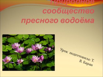 Урок окружающего мира презентация к уроку по окружающему миру (4 класс) по теме