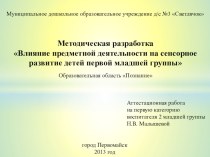 Методическая разработка Влияние предметной деятельности на сенсорное развитие детей первой младшей группы методическая разработка по математике (младшая группа)