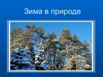 Презентация о зиме презентация к уроку (2 класс)