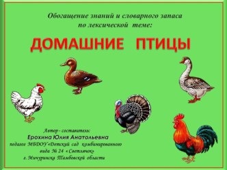 Презентация к занятию по лексической теме Домашние птицы презентация к занятию (старшая группа)