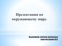 Презентация по окружающему миру Можжевельник сибирский.Л.В. Занков. 2 класс. презентация к уроку по окружающему миру (2 класс) по теме