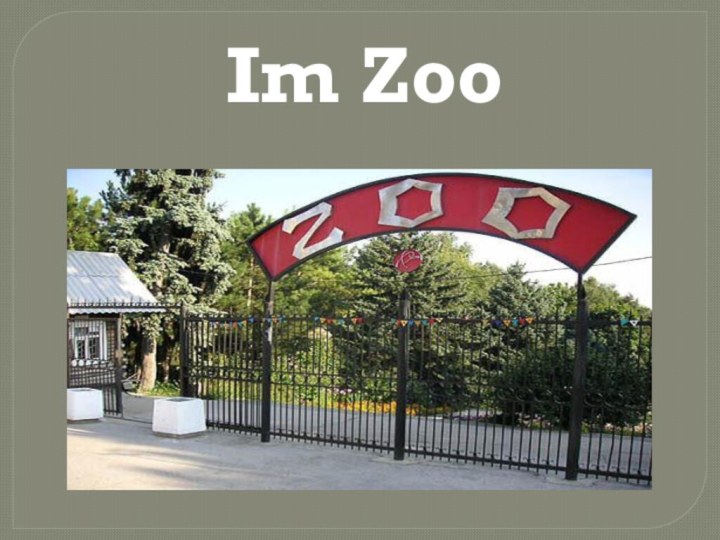 Im Zoo