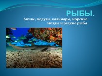 Презентация Подводный мир презентация к уроку по окружающему миру (старшая группа)