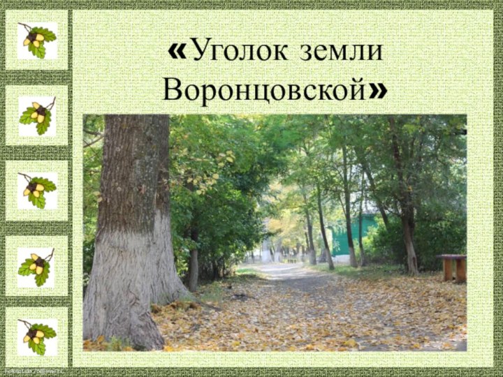 «Уголок земли Воронцовской»