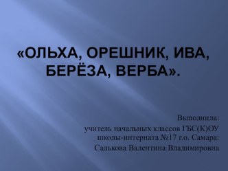 открытый урок по русскому языку в 4 классе Грамматический турнир. Повторение. Части речи план-конспект урока по русскому языку (4 класс)