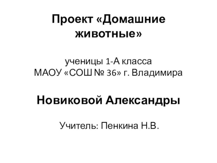 Проект «Домашние животные»  ученицы 1-А класса МАОУ «СОШ № 36» г.