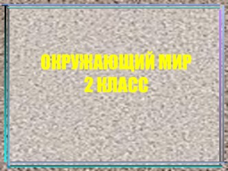 Окружающий мир О дружбе презентация к уроку по окружающему миру (2 класс)