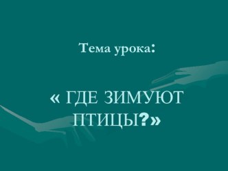 презентация Где зимуют птицы презентация к уроку по окружающему миру (1 класс) по теме