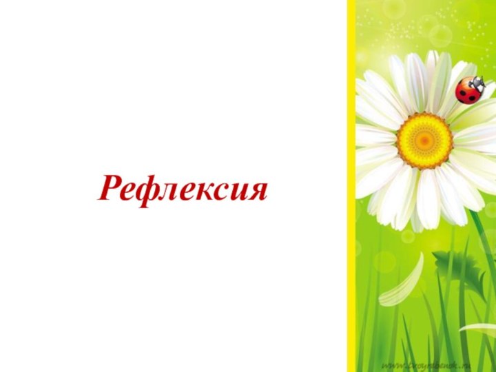 Рефлексия