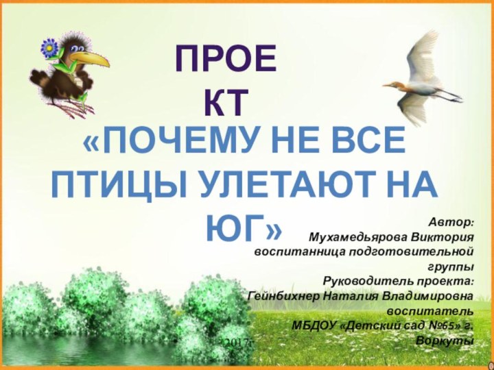 ПРОЕКТ«Почему не все птицы улетают на юг»Автор:Мухамедьярова Виктория воспитанница подготовительной группы Руководитель