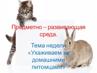Предметно - развивающая среда. Тема Ухаживаем за домашними питомцами презентация к уроку (подготовительная группа)