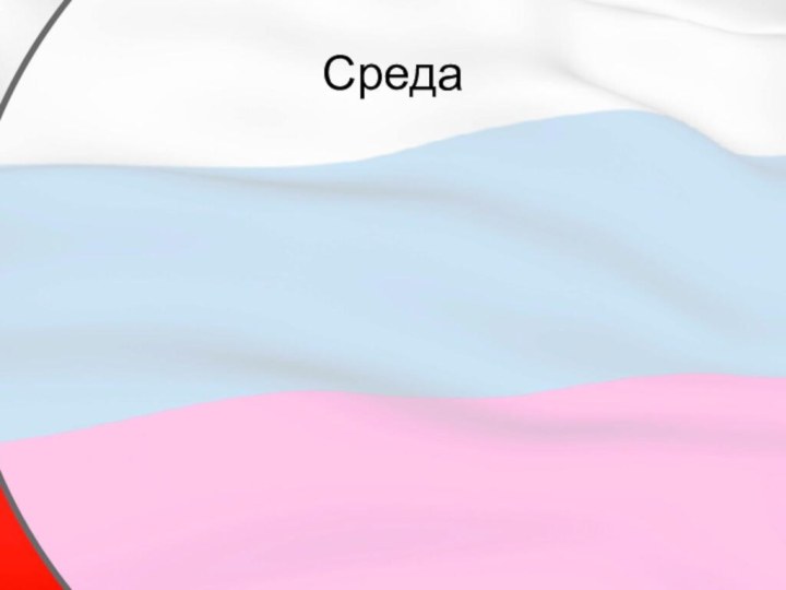 Среда