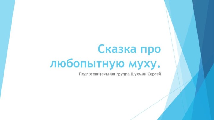 Сказка про любопытную муху.Подготовительная группа Шухман Сергей