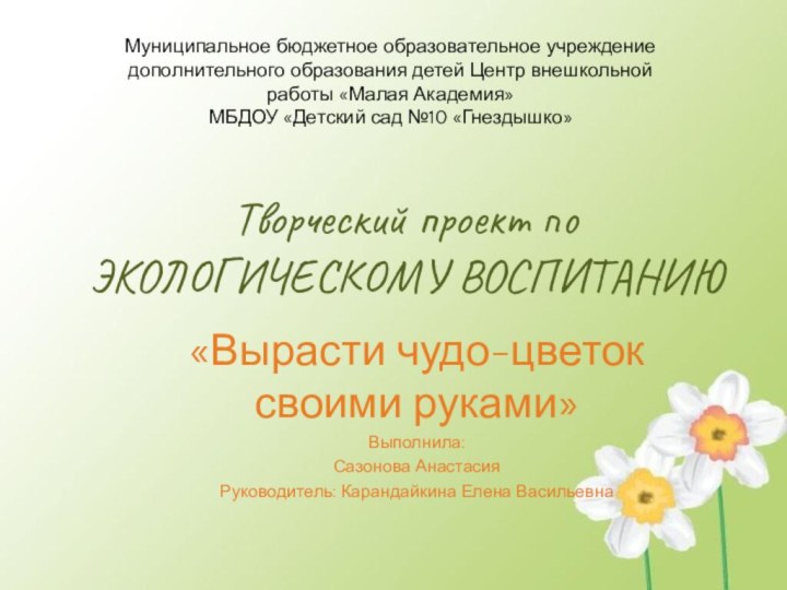 Творческий проект по ЭКОЛОГИЧЕСКОМУ ВОСПИТАНИЮ «Вырасти чудо-цветок своими руками»Выполнила:Сазонова АнастасияРуководитель: Карандайкина Елена