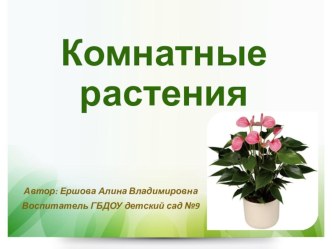 Комнатные растения