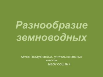 Презентация Разнообразие земноводных презентация к уроку по окружающему миру (1 класс) по теме