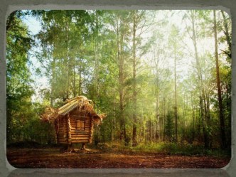 Конспект занятия для старшей группы презентация к уроку (старшая группа)