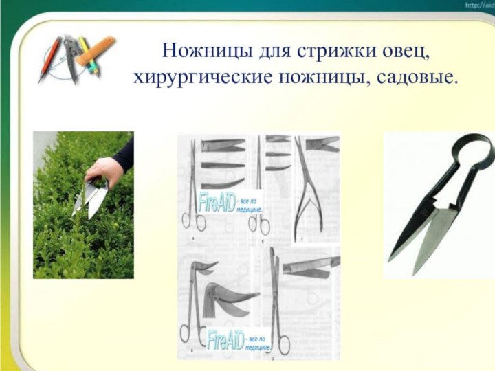 Ножницы для стрижки овец, хирургические ножницы, садовые.