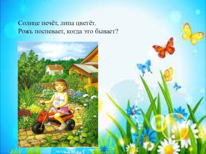 Солнце печёт, липа цветёт. Рожь поспевает, когда это бывает? Летом