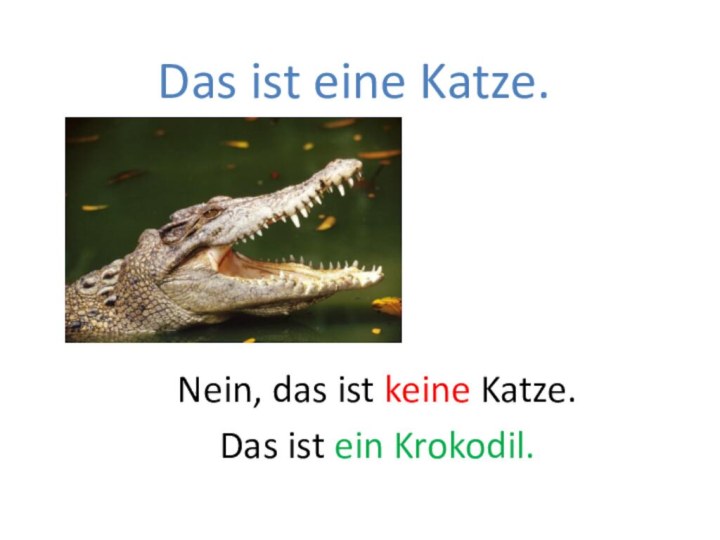 Das ist eine Katze.Nein, das ist keine Katze. Das ist ein Krokodil.