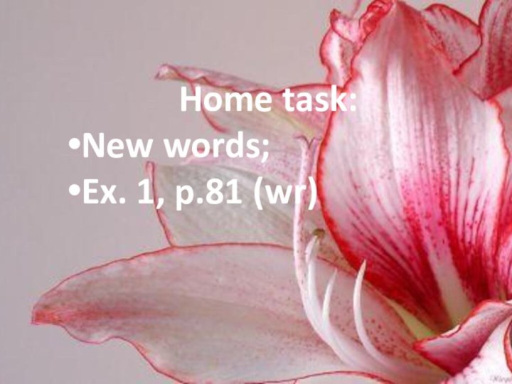 Home task:New words; Ex. 1, p.81 (wr)