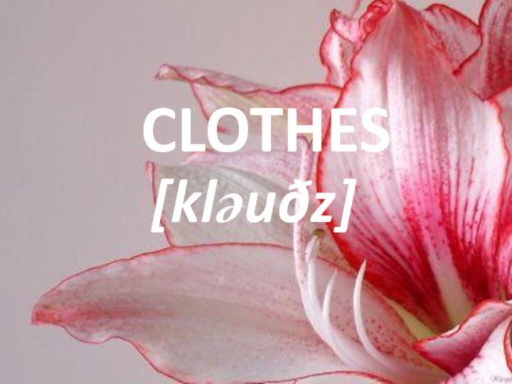 CLOTHES[kləuðz]