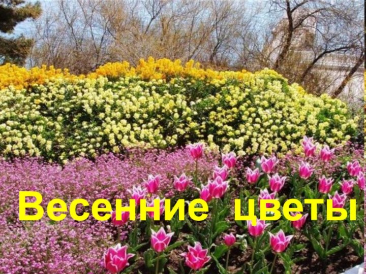 Весенние цветы