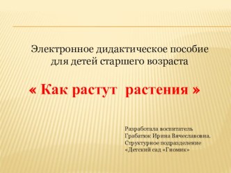 Как растут растения презентация к уроку (старшая группа)