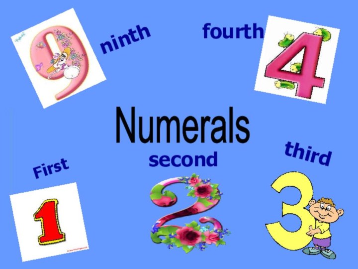 thirdFirstsecondfourthNumerals ninth