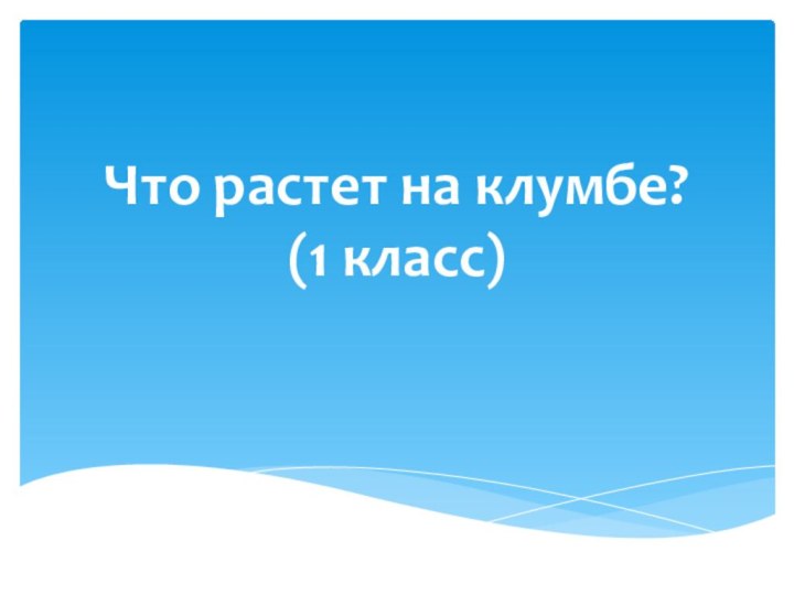 Что растет на клумбе?         (1 класс)