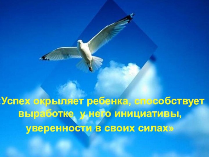 «Успех окрыляет ребенка, способствует выработке у него инициативы, уверенности в своих силах»