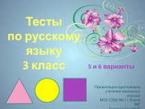 Русский язык 3 класс тест-презентация №3 презентация к уроку по русскому языку (3 класс)
