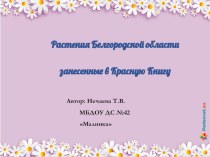 Растения Белгородской области занесенные в Красную книгу занимательные факты (средняя группа)